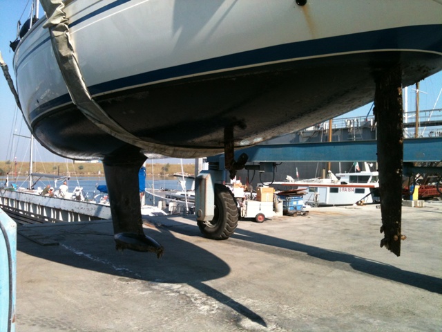 [Immagine: 201272611554_IMG_0865.JPG]
